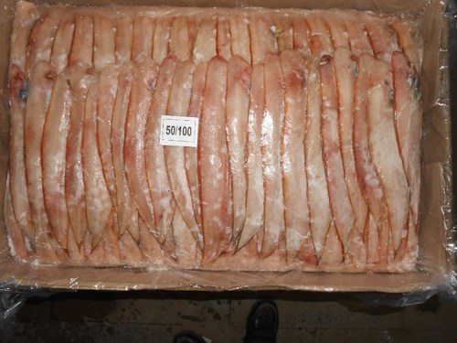सोल फिश