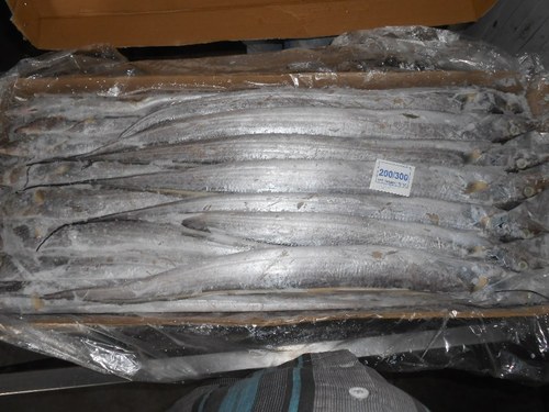 रिबन मछली