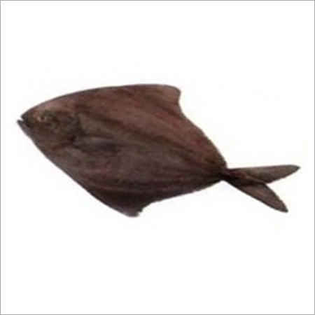 काला पोम्फ्रेट