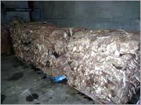 गधे की खालें