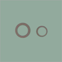 Fan Disc Washer