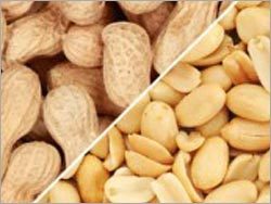 कच्चे मूंगफली