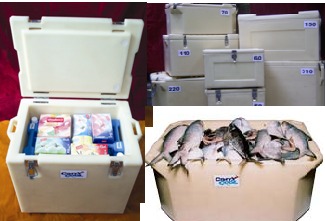 PUF इंसुलेटेड बॉक्सेस