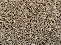 कमिन बीज (जीरा)