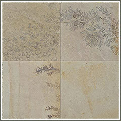 मिंट फॉसल