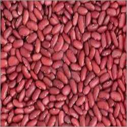 जम्मू राजमा