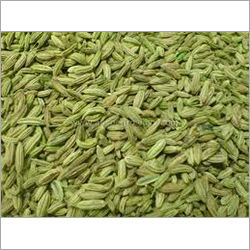 Fennel Seeds