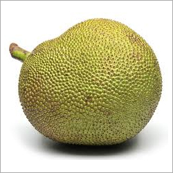 जमी हुई कटहल