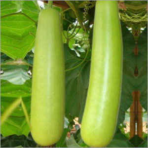 विदहम