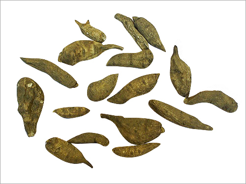 एटिस कडवा