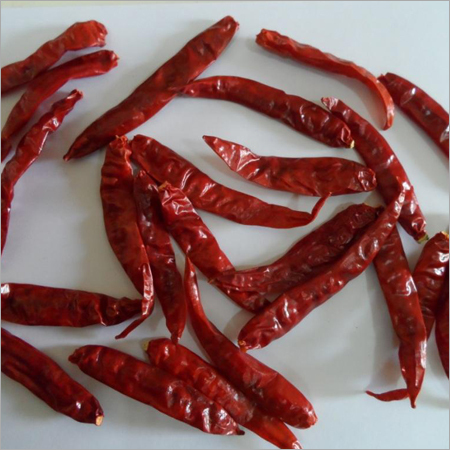 सनम स्टेमलेस