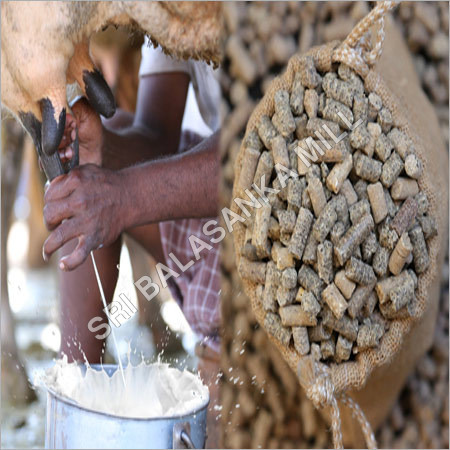 Dairy Cattle Feed