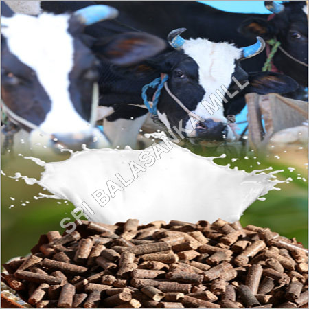 Cattle Feed Supplements