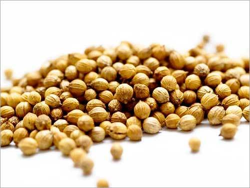 Coriander Seeds