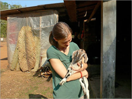 Playing With Young Goats
