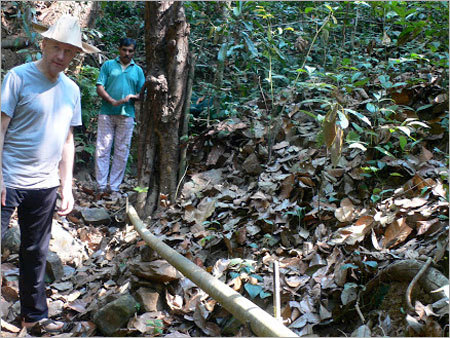 Herbal Medicine Age Group: For Adults