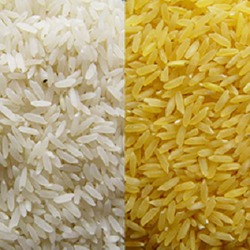 लंबे अनाज चावल