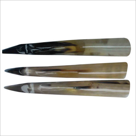 चमकदार पेय सींग