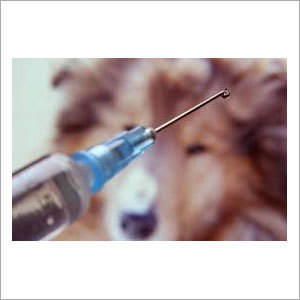 छूट पशु चिकित्सा सेवाएँ