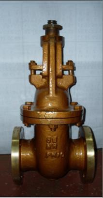 Gate Valve Aluminum Bronze