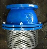 Foot Valve