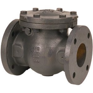 Horizontal Check Valve