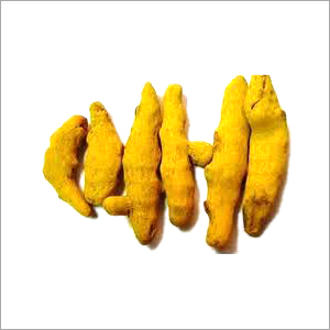 सूखी हल्दी की अंगुलियाँ