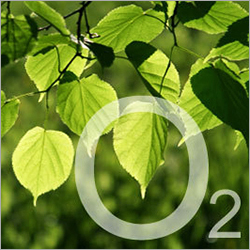 ऑक्सीजन गैस