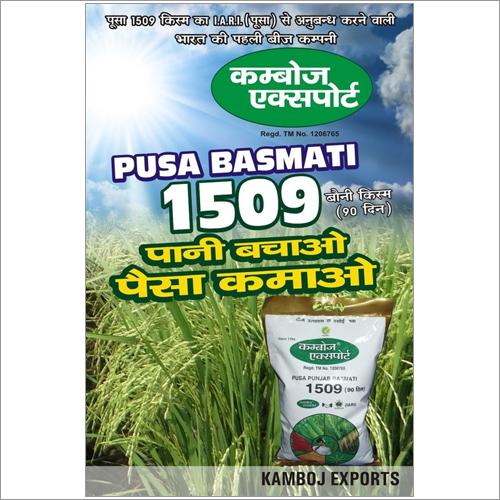 1509 बासमती चावल के बीज