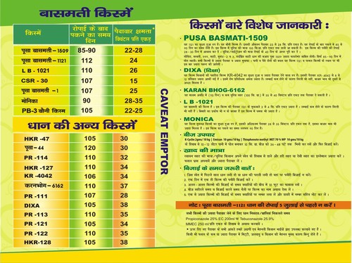चावल के बीज