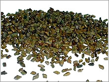 कैसिया टॉरा रेजिन