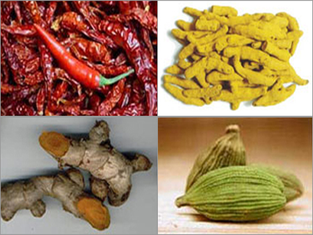 भारतीय मसाले