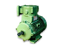 AC Flame Proof Motor - Single Phase, 200W Output Power, Green Color | 2500-3000 RPM, Moderate Pressure, 50-60 MHz Frequency