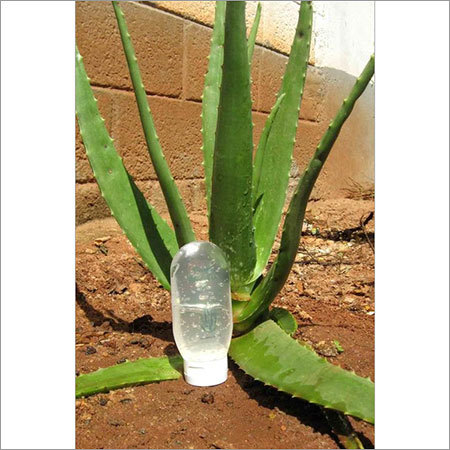 एलोवेरा जेल