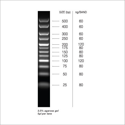 25BP पावर DNA लैडर
