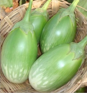 हायब. ओडिशा सम्राट