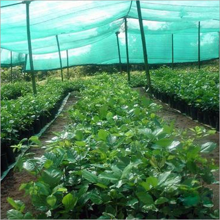 Nursery Shade Netting