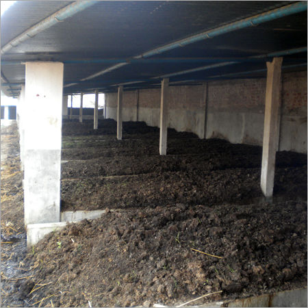 Vermicompost Organic Fertilizer