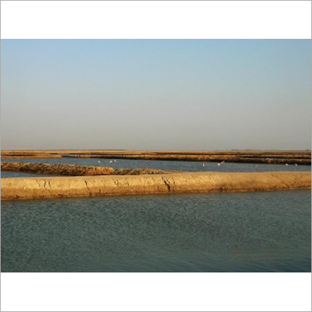 जल कंडेनसर