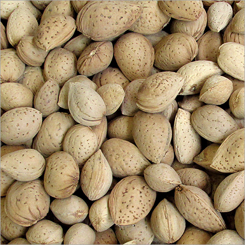 सह健康 सूखे मेवे