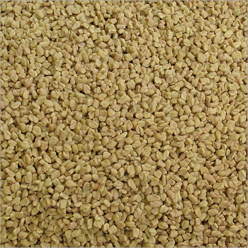 पकाने के मसाले