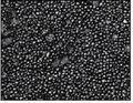 Petcoke