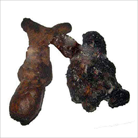 Kali Haldi