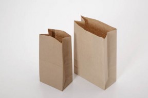 Recycled Paper Bags