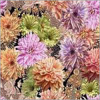 पॉलिएस्टर डिजिटल प्रिंट्स