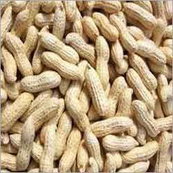 मूंगफली की गुठली