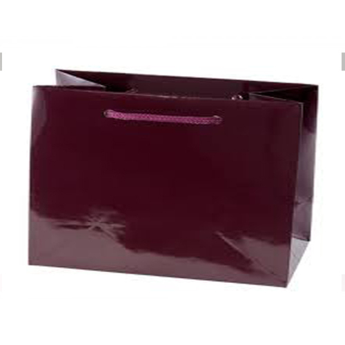 कोटेड पेपर बैग