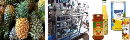 PINEAPPLE PROCESSING PLANT & MACHINERY 
