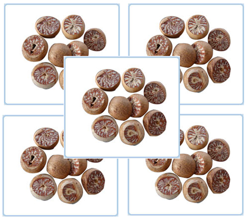 पान के बीटेल नट