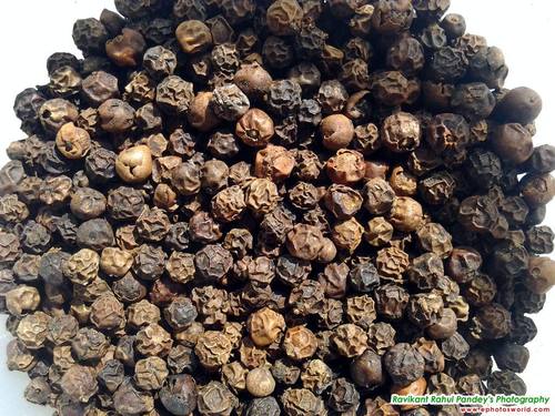 काली मिर्च